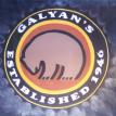 Galyan's Sporting Goods Store - logo